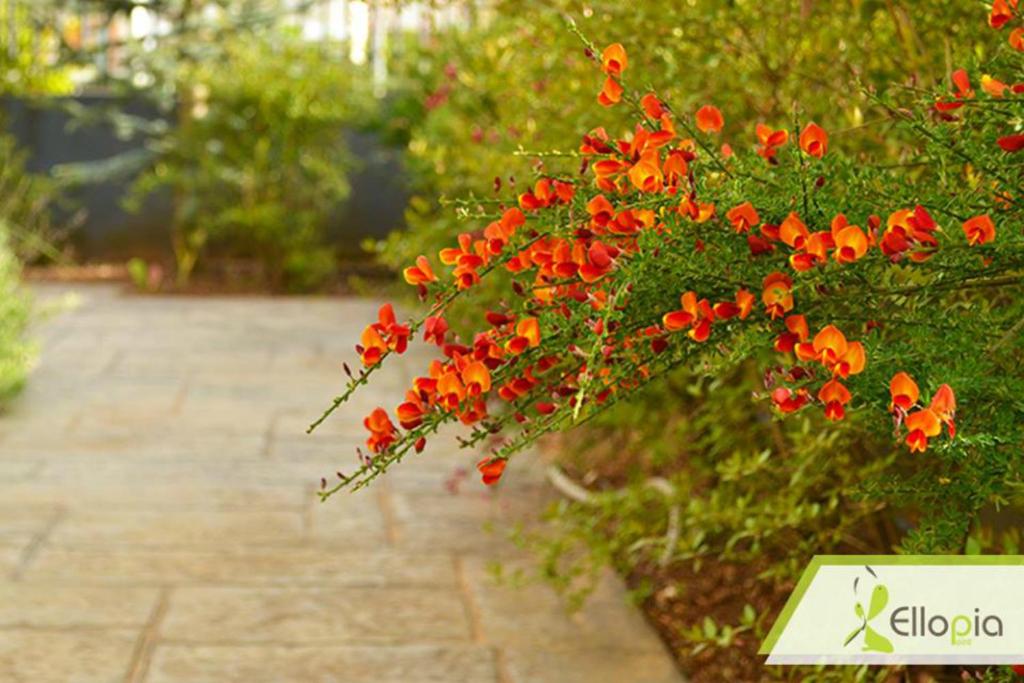 Ellopia Point Hotel - Resim 40