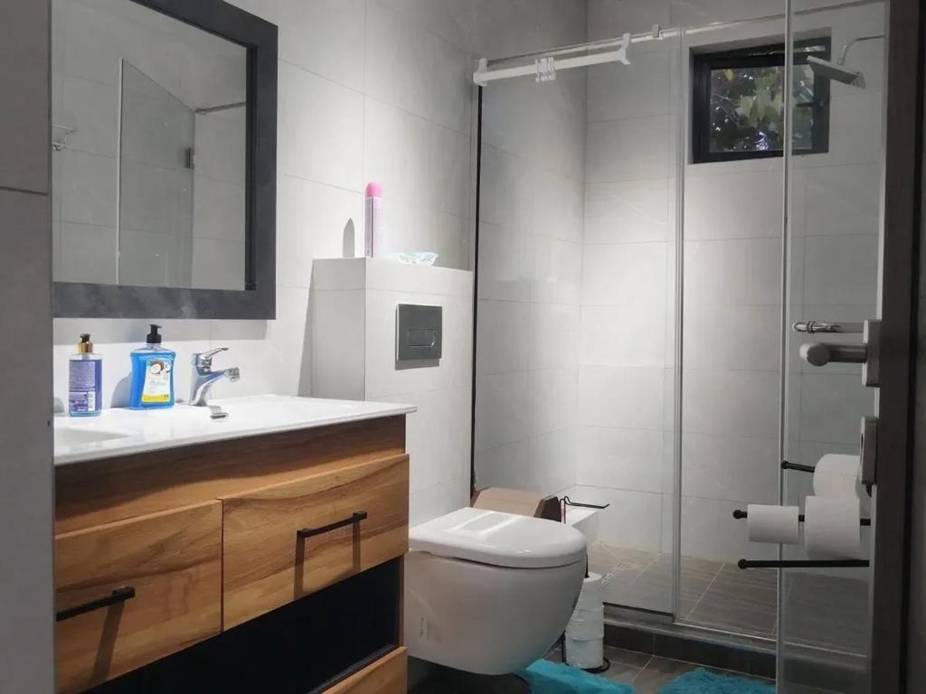 een badkamer met toilet, wastafel en douche bij Charming Villa with Pool in Souillac in Souillac