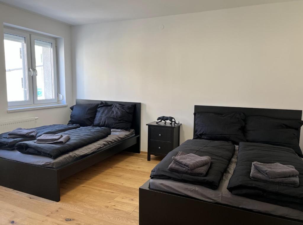 Fotografie z fotogalerie ubytování Black City Loft for 10 Guests v destinaci Wiener Neustadt