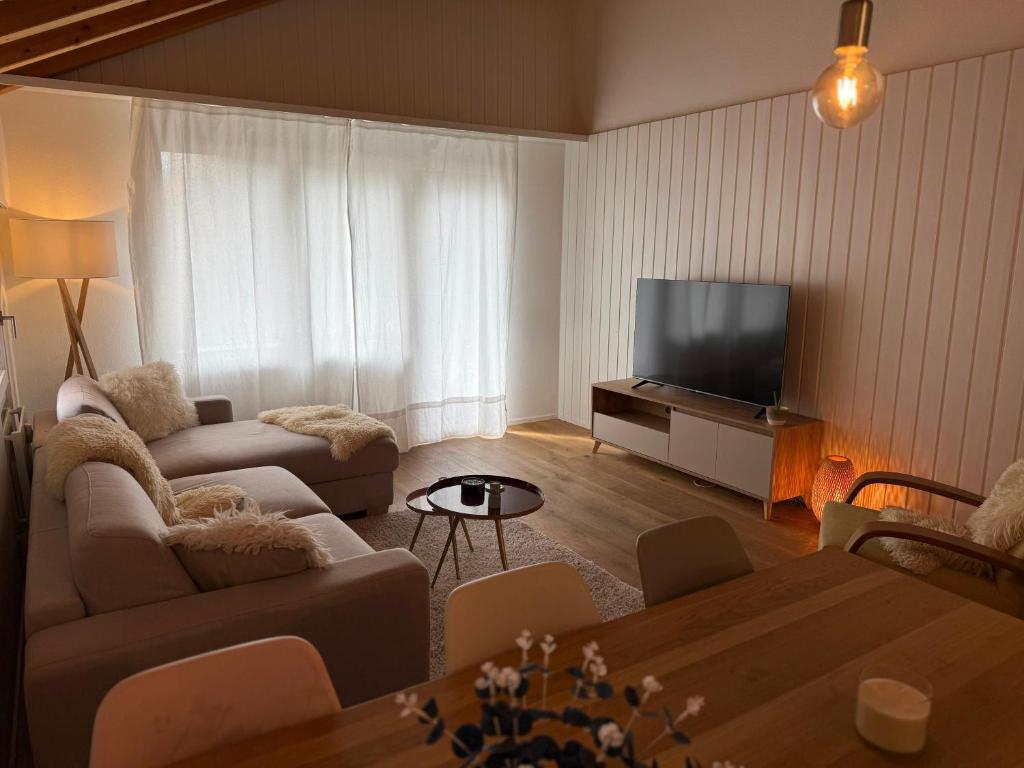 TV a/nebo společenská místnost v ubytování Mountain Glow Apartment