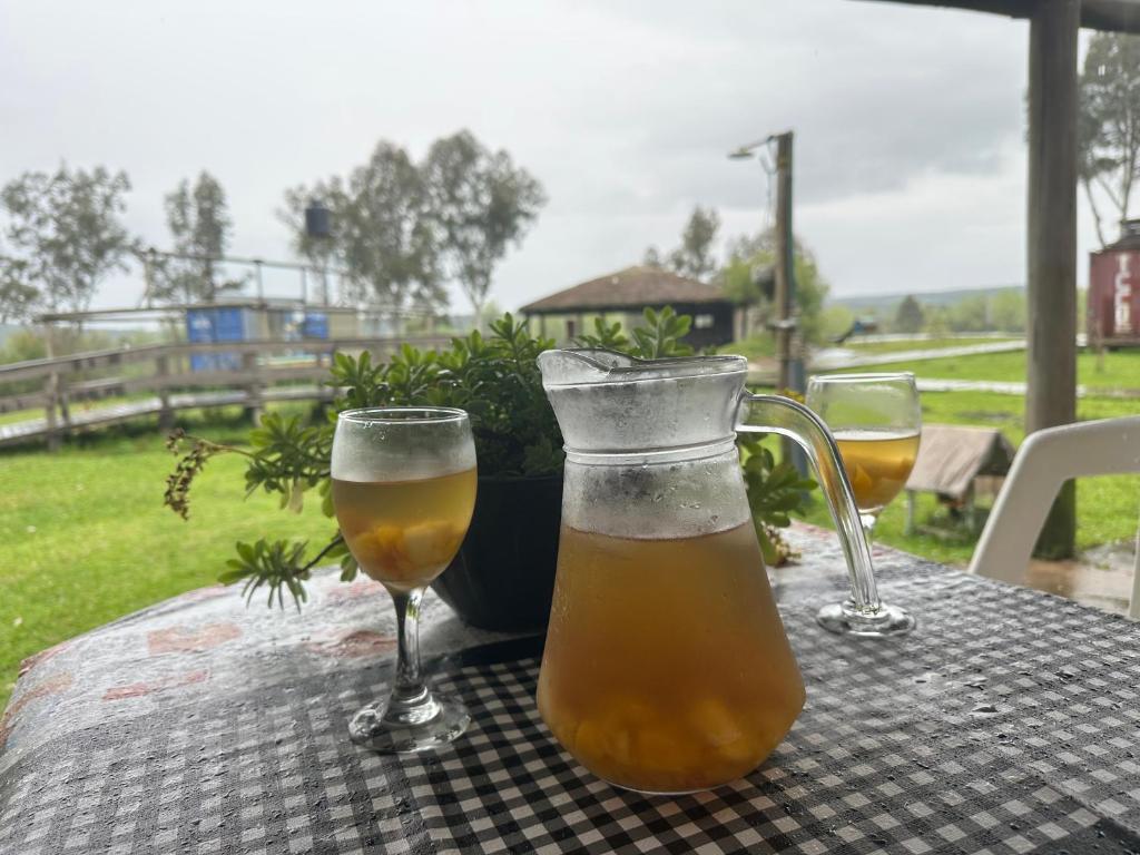 リベラにあるLos Tres Rubiosのテーブルの上にグラス2つとビールのピッチャー1つ