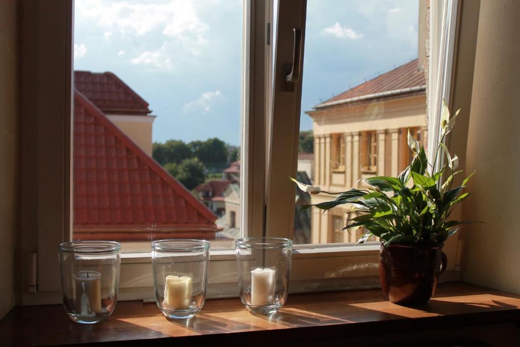 a table with candles and a window with a plant at Apartament na Małym Rynku in Sandomierz