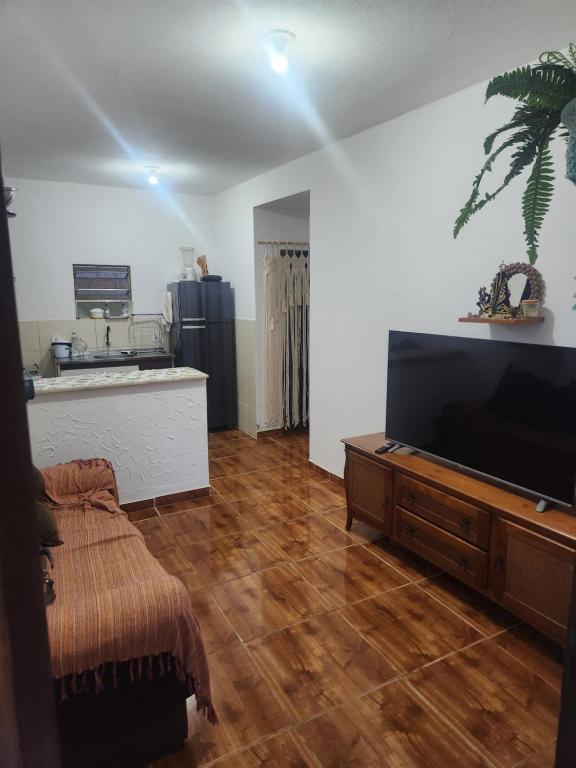 a living room with a large flat screen tv at Kitnet Quintal verde in Itacaré