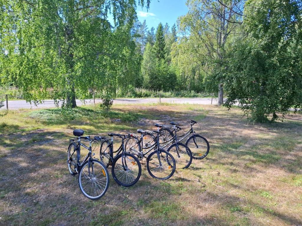 Ποδηλασία στο Lunas Hästgård ή στη γύρω περιοχή