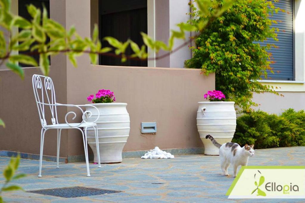 Ellopia Point Hotel - Resim 23