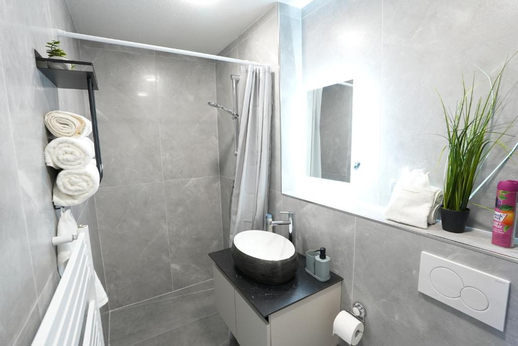 La salle de bains est pourvue d'un lavabo, d'une douche et de toilettes. dans l'établissement Wohnung IA - Elegante Mini-Suite, à Neuwied