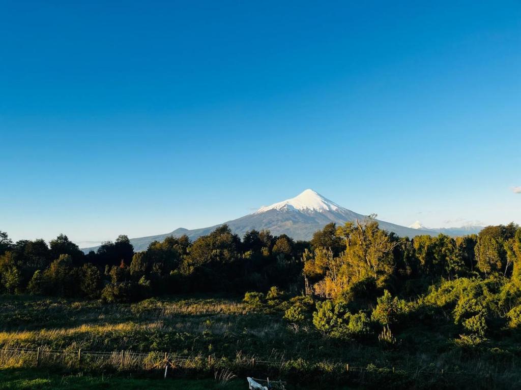 巴拉斯港Casa con vista a los volcanes y Lago Llanquihue的远方的山,有树木在前沿