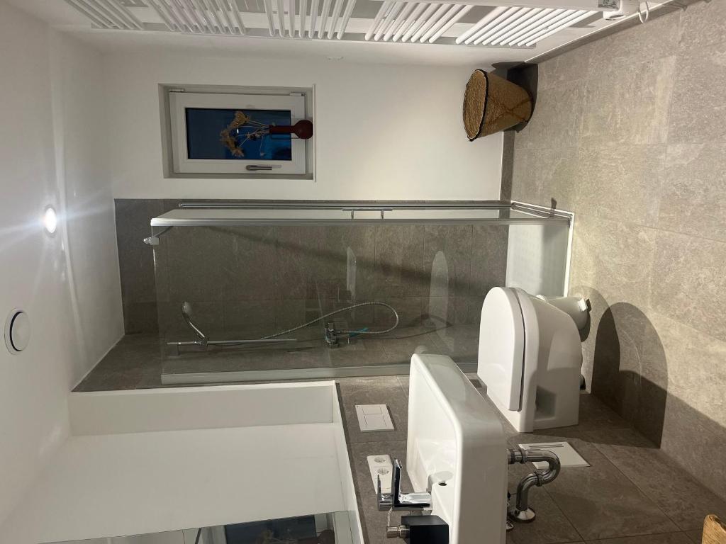 ユーバーリンゲンにあるFeigentalのガラスの壁、洗面台付きのバスルーム