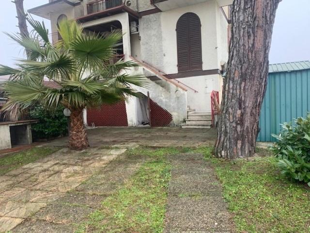 a palm tree in front of a house at Casa con giardino in Lido delle Nazioni