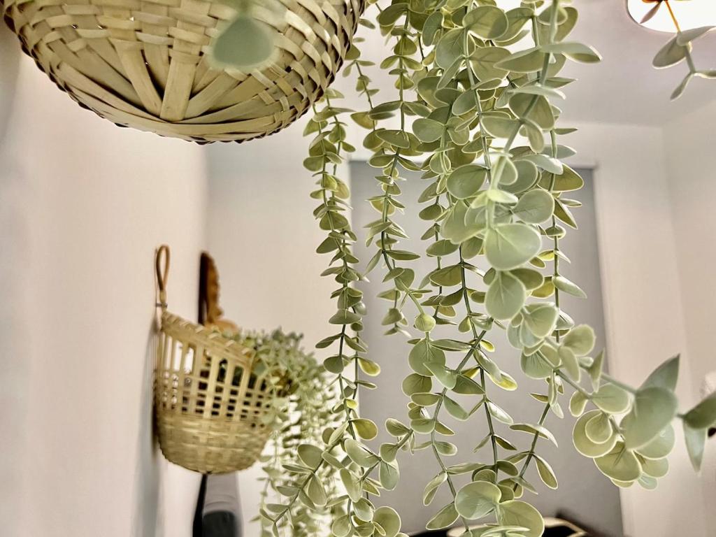 Karama pretty unit near metro في دبي: وجود نبات يتدلى من السقف في الغرفة