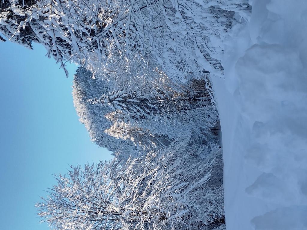 Ferienhaus Seltschach 193 v zimě