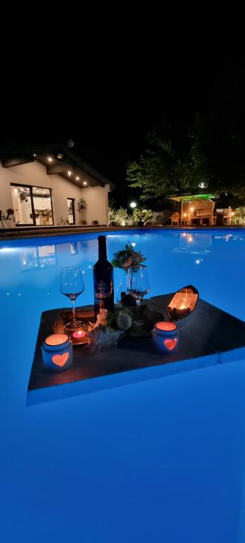 una piscina con un tavolo con bicchieri di vino e una bottiglia di Villa RM a Ivišovo Greblje