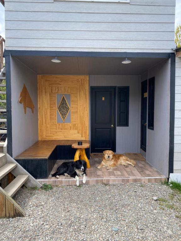 two dogs laying on the steps of a house at Los Álamos in Puerto Tranquilo