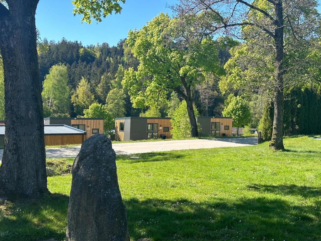 Příroda nedaleko prázdninového domu