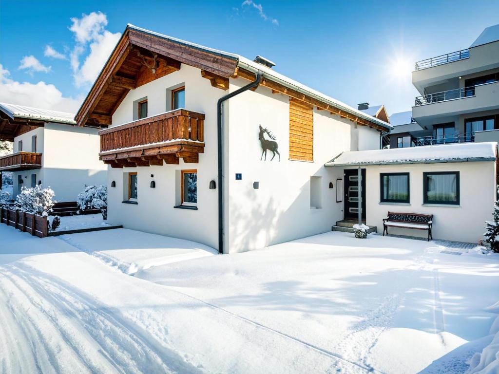 a house in the snow with snow covered driveway at Cervus in Bruck an der Großglocknerstraße