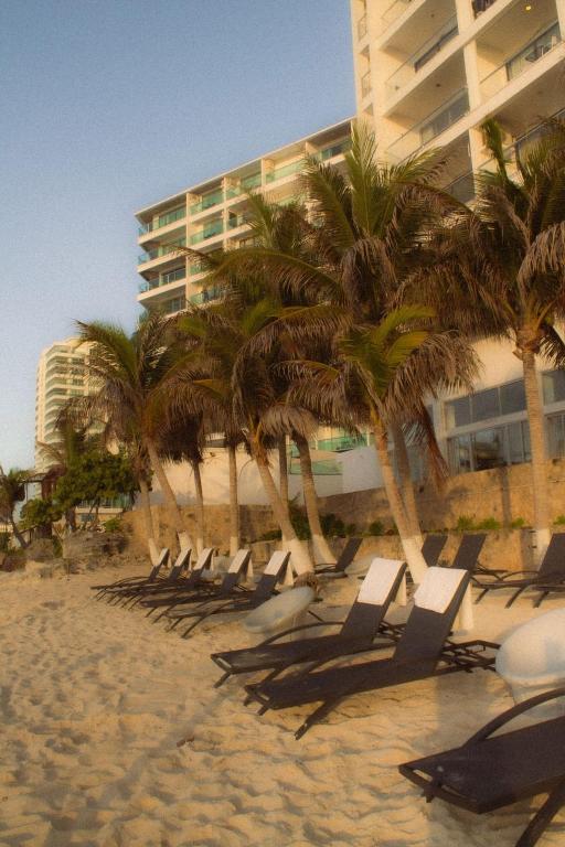 a row of lounge chairs and palm trees on a beach at Naia Mar in Cancún