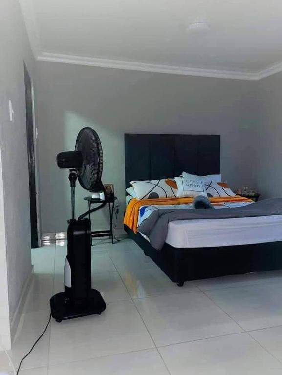 a bedroom with a bed with a fan next to it at Morothong Guest Suites in Moremela