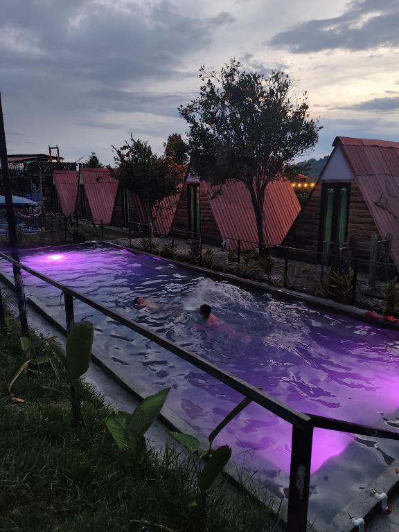 a couple of people in a swimming pool at night at Ecohotel Java in Manizales