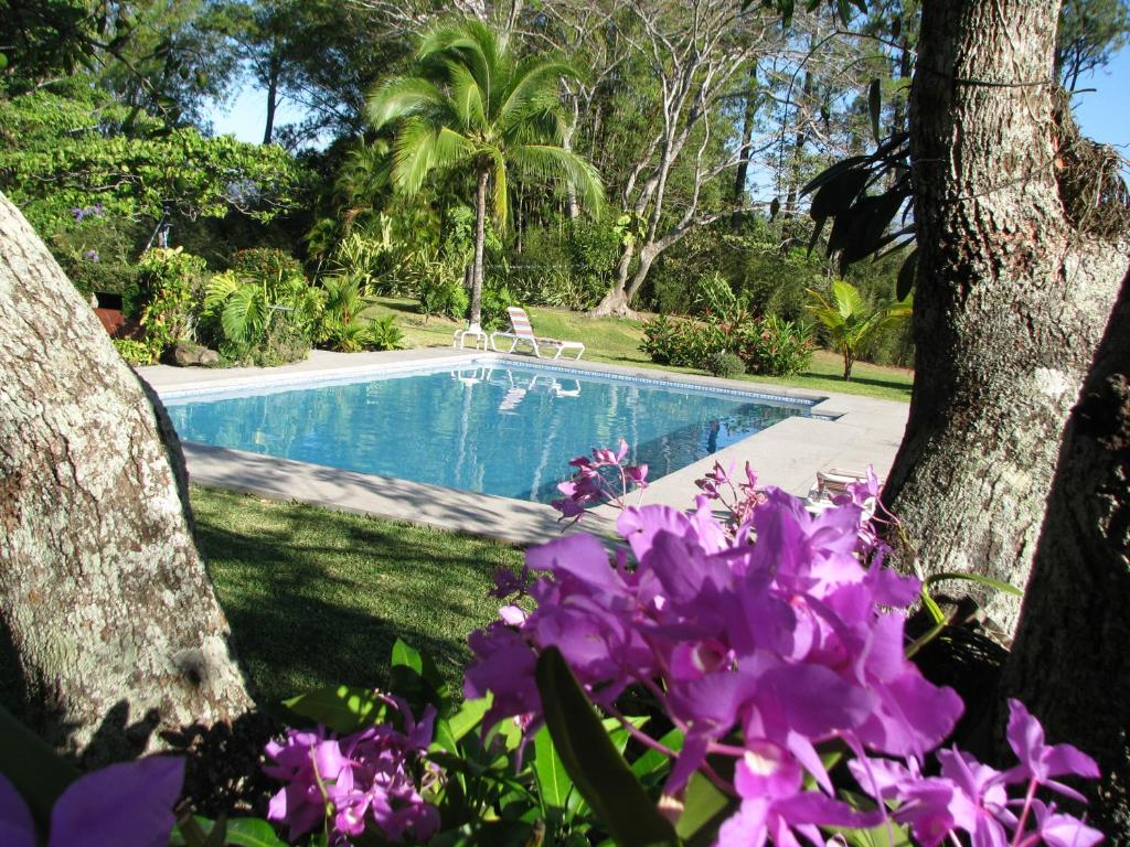 a swimming pool with purple flowers in front of it at Quinta Celeste in La Garita