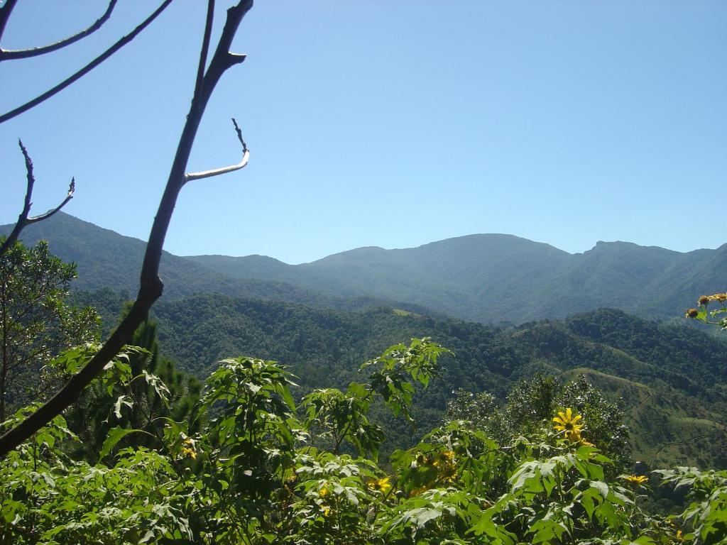 Orgânica-Mente B&B