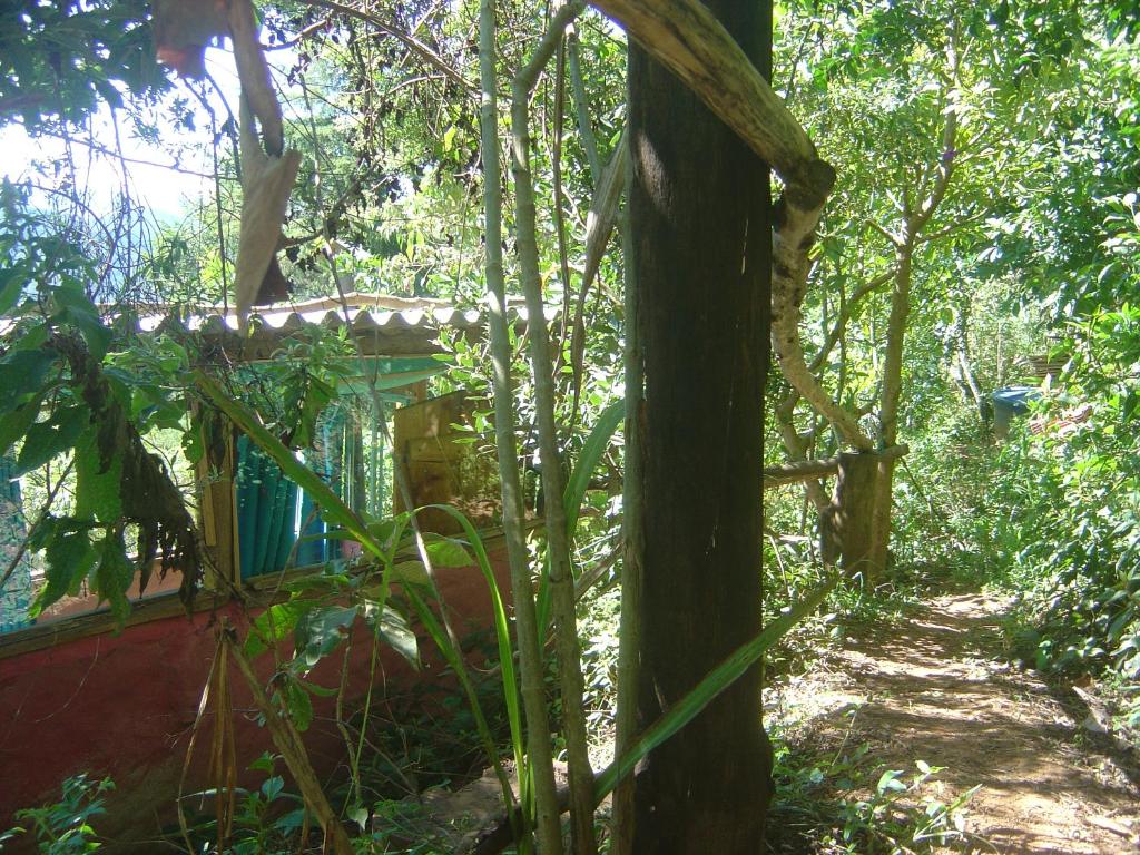  Orgânica-Mente B&B