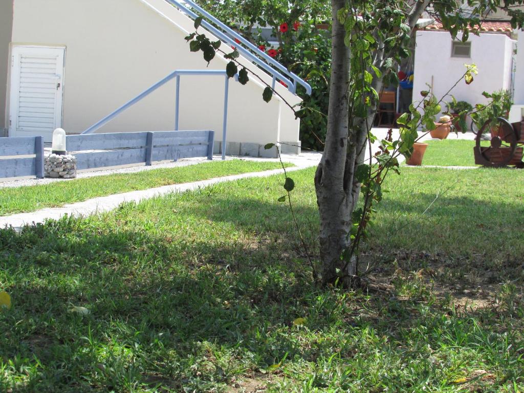 Ogród w obiekcie Sevi Apartments