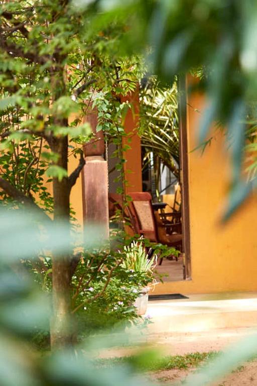 Zahrada ubytování Villa Sunbird Negombo