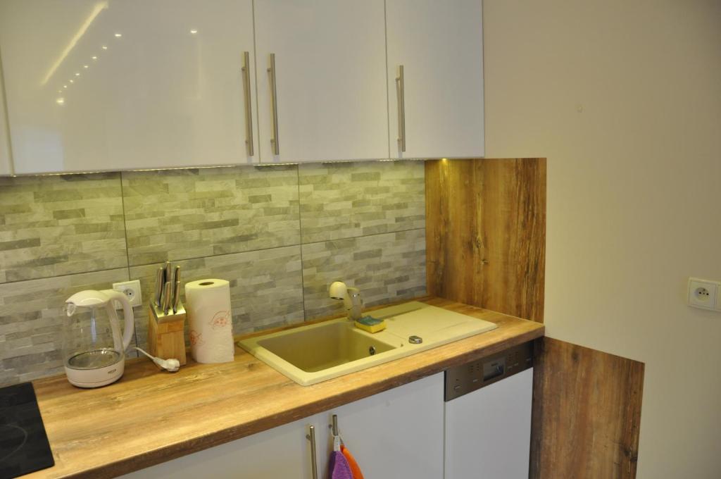 Kuchyňa alebo kuchynka v ubytovaní Apartament Stalowy Kościelisko Sywarne