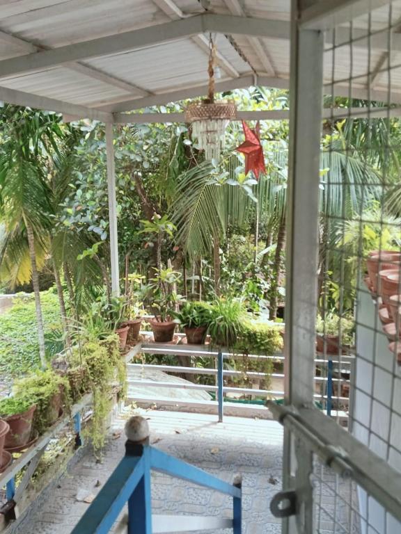 Zahrada ubytování Sharavathi Garden Villa