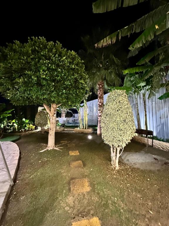 Billede fra billedgalleriet på بلكونه 7 i Ta'if