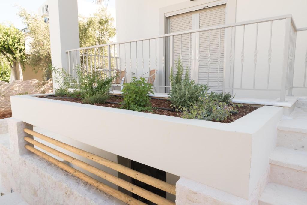 Zahrada ubytování Elounda Sea Suites