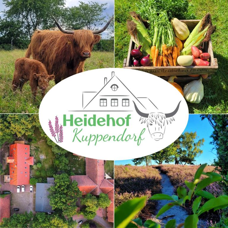 a collage of photos with a cow and vegetables at Heidehof Kuppendorf in Kirchdorf