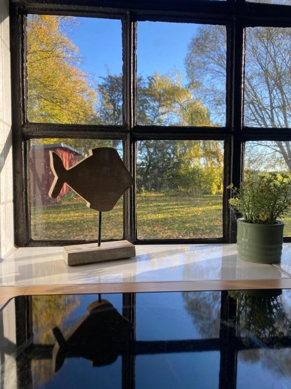 Fotografie z fotogalerie ubytování Bungalow zwischen Ostsee und Haff v destinaci Rerik