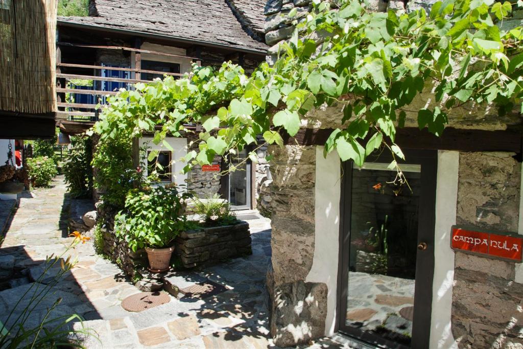 Zahrada ubytování Rustici della Verzasca Ferien Wohnungen