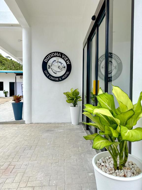 涛岛Buddha View Hostel的植物建筑的一侧的标志