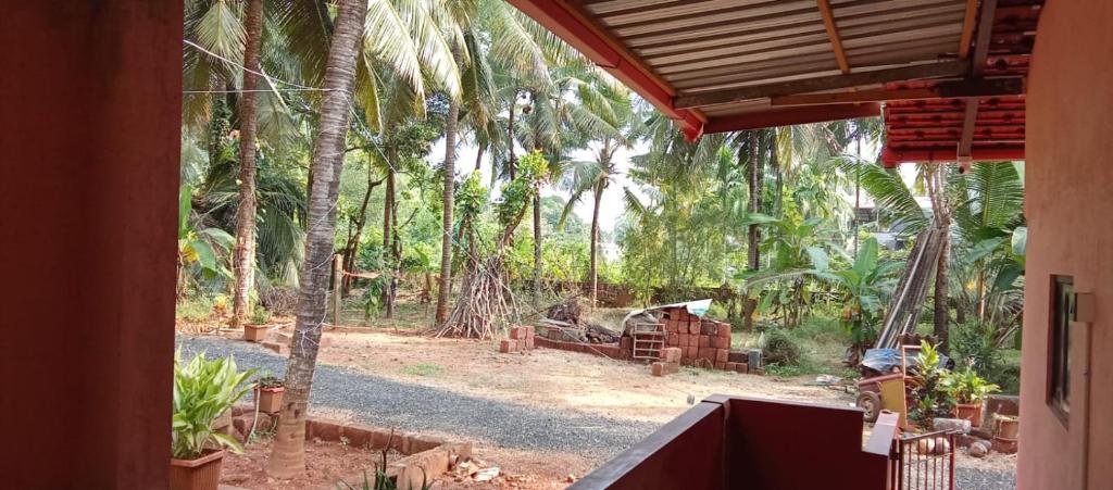 a view of a yard with palm trees at Lewis Paradise Homestay in Kalyānpur