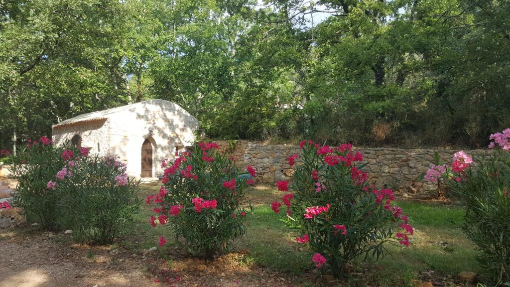 Zahrada ubytování Le Donjon des Combes et son Spa