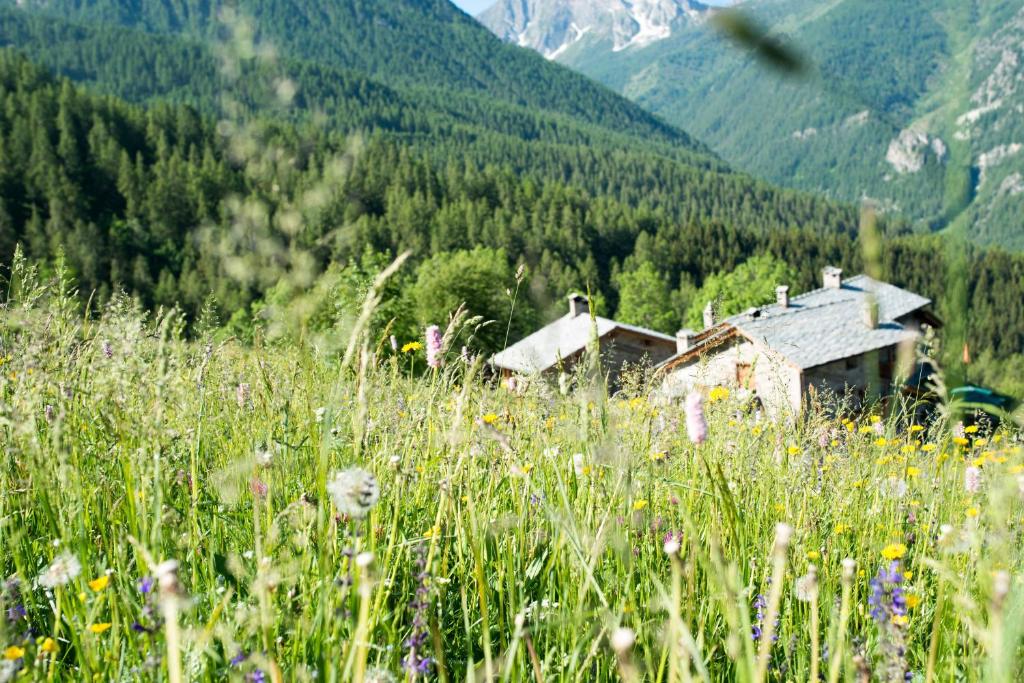 Příroda nedaleko chaty