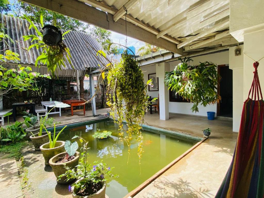 kryty ogród ze stawem w środku domu w obiekcie Surfing Lion Villa Hiriketiya w mieście Dickwella