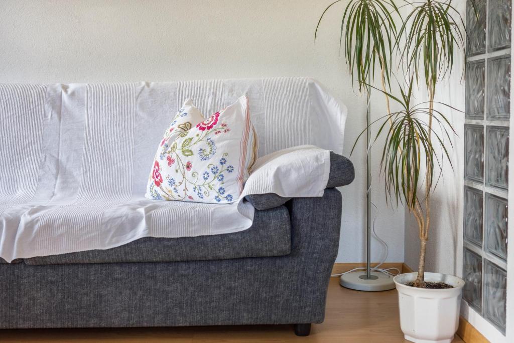 een kussen op een bank naast een plant bij Woehrmannhof Apt Spinnrad in Feldthurns