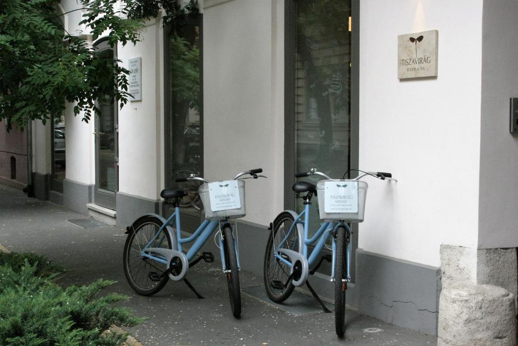 Tiszavirág Szeged - Resim 6