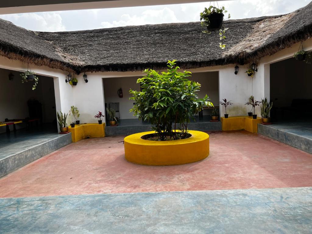 Una jardinera amarilla delante de un edificio con una planta. en Champions Ranch, en Bāgalūr