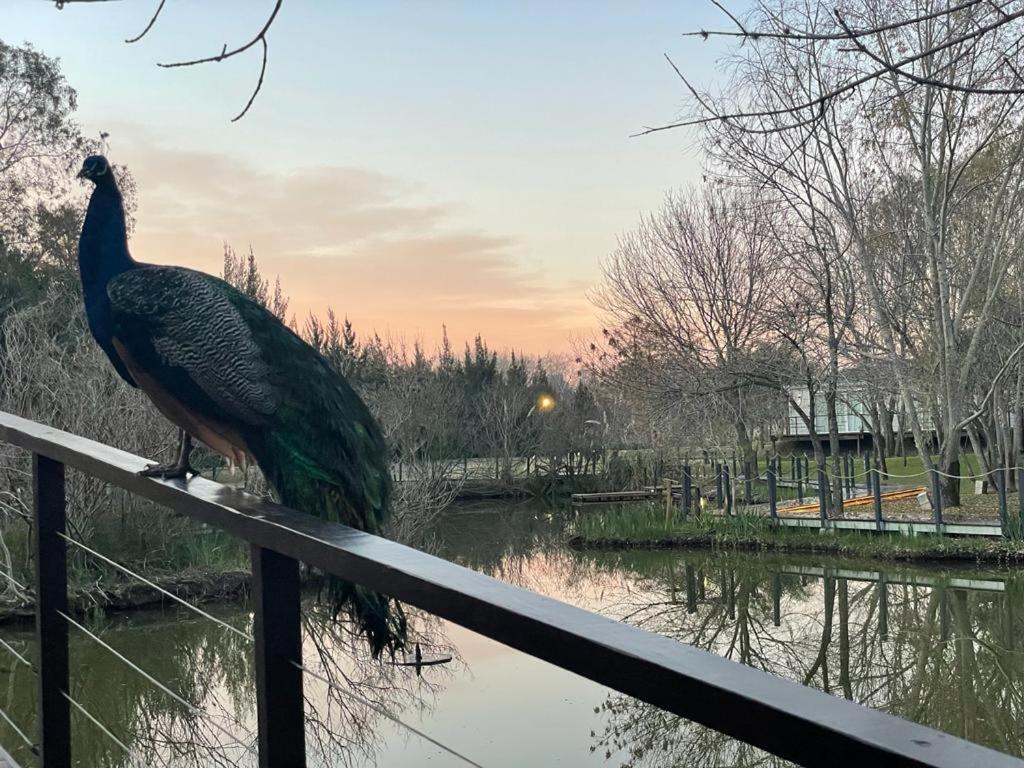 La Posada Multiespacios