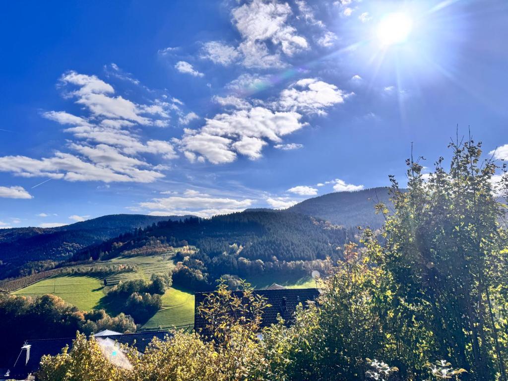 a view of a valley with the sun in the sky at Hotel Schauinsland in Bad Peterstal-Griesbach