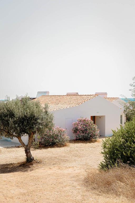 ein weißes Gebäude mit einem Baum davor in der Unterkunft Casa Acima in São Bartolomeu da Serra
