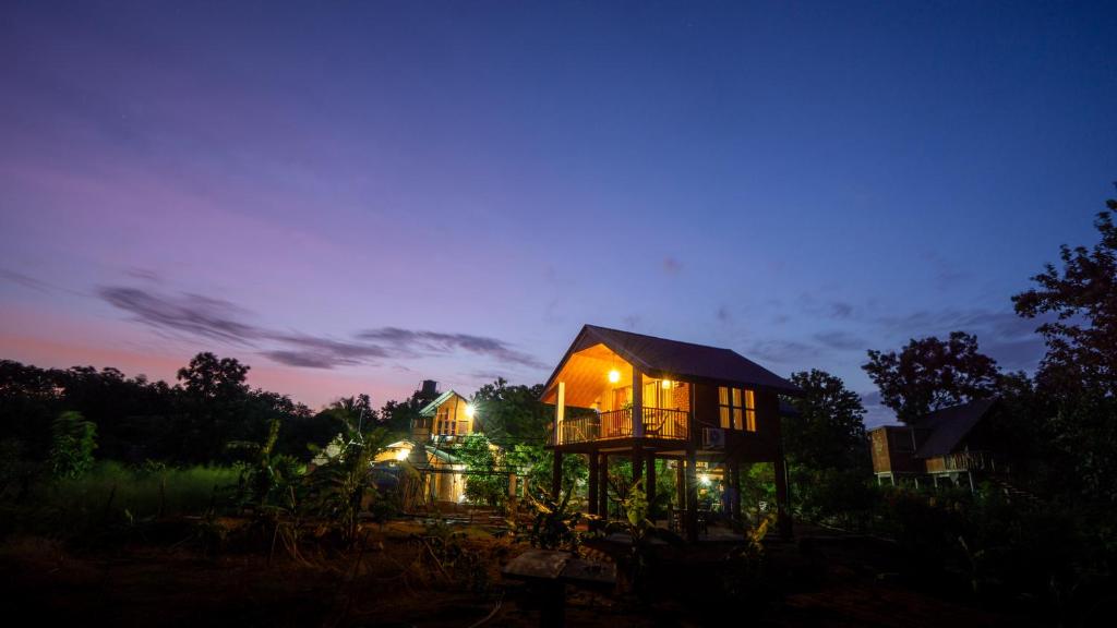 a house with lights on in a field at night at Lion Wood Treehouse in Talkote