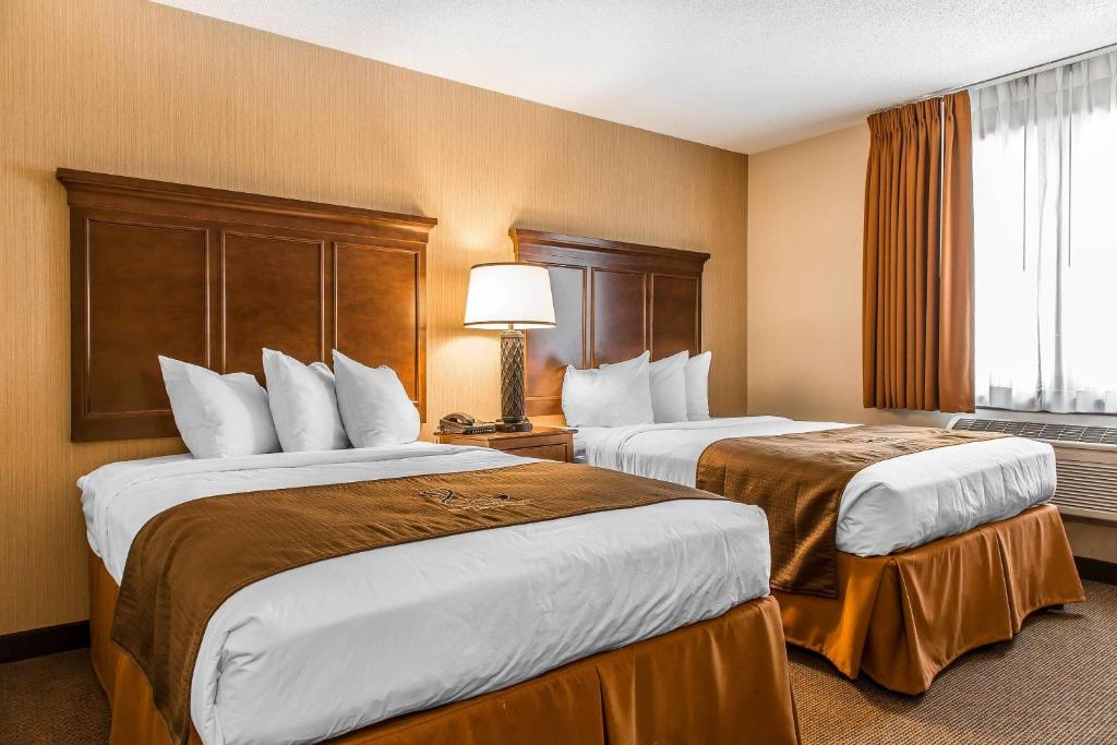 The Black Swan Lee - Lenox, an Ascend Collection Hotel photo