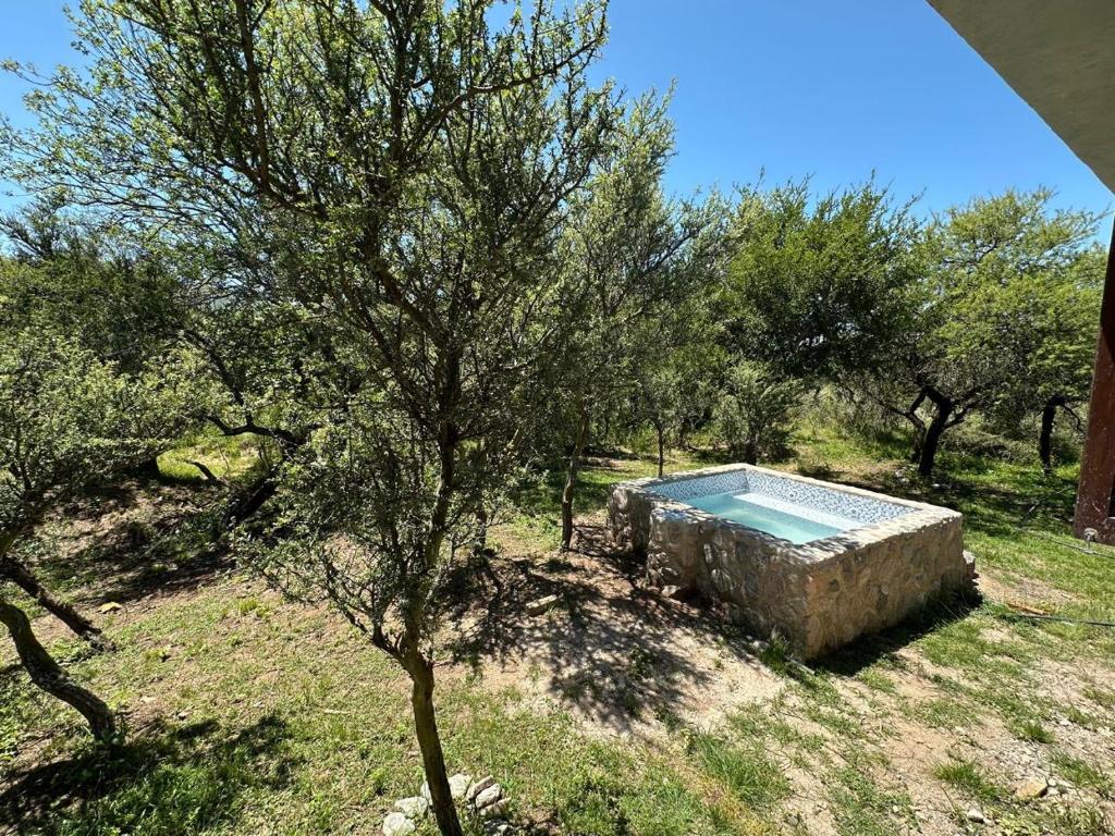 a pool in the middle of a field with trees at Cabaña El Quebrachal in Valle Hermoso