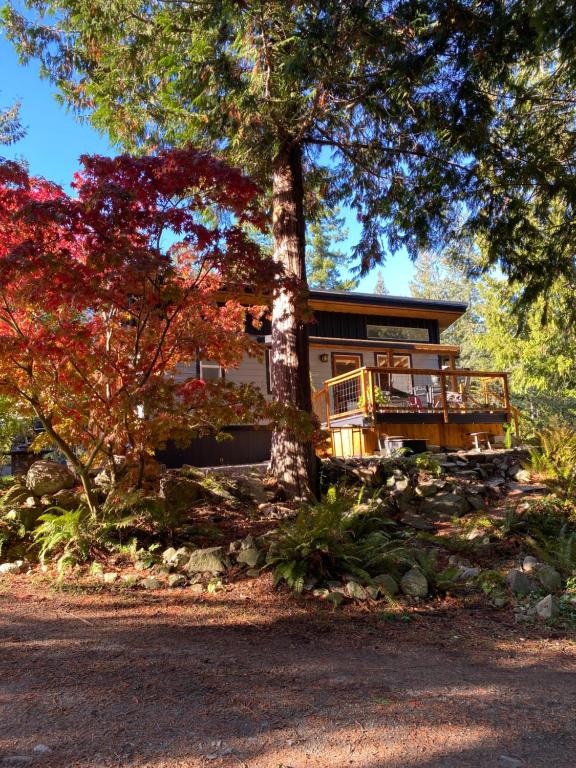 a house with a tree in front of it at Little Cabin in Middlepoint in Halfmoon Bay