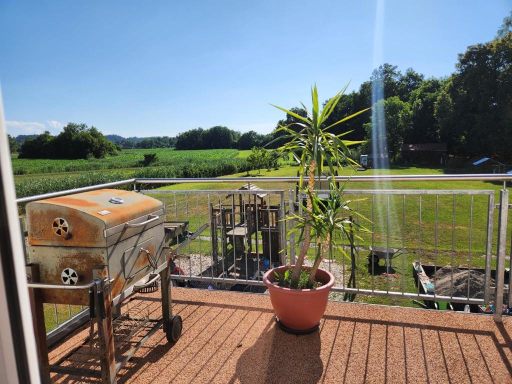 a grill and a potted plant on a balcony at Beim Mooswiesler Dahoam in Polling